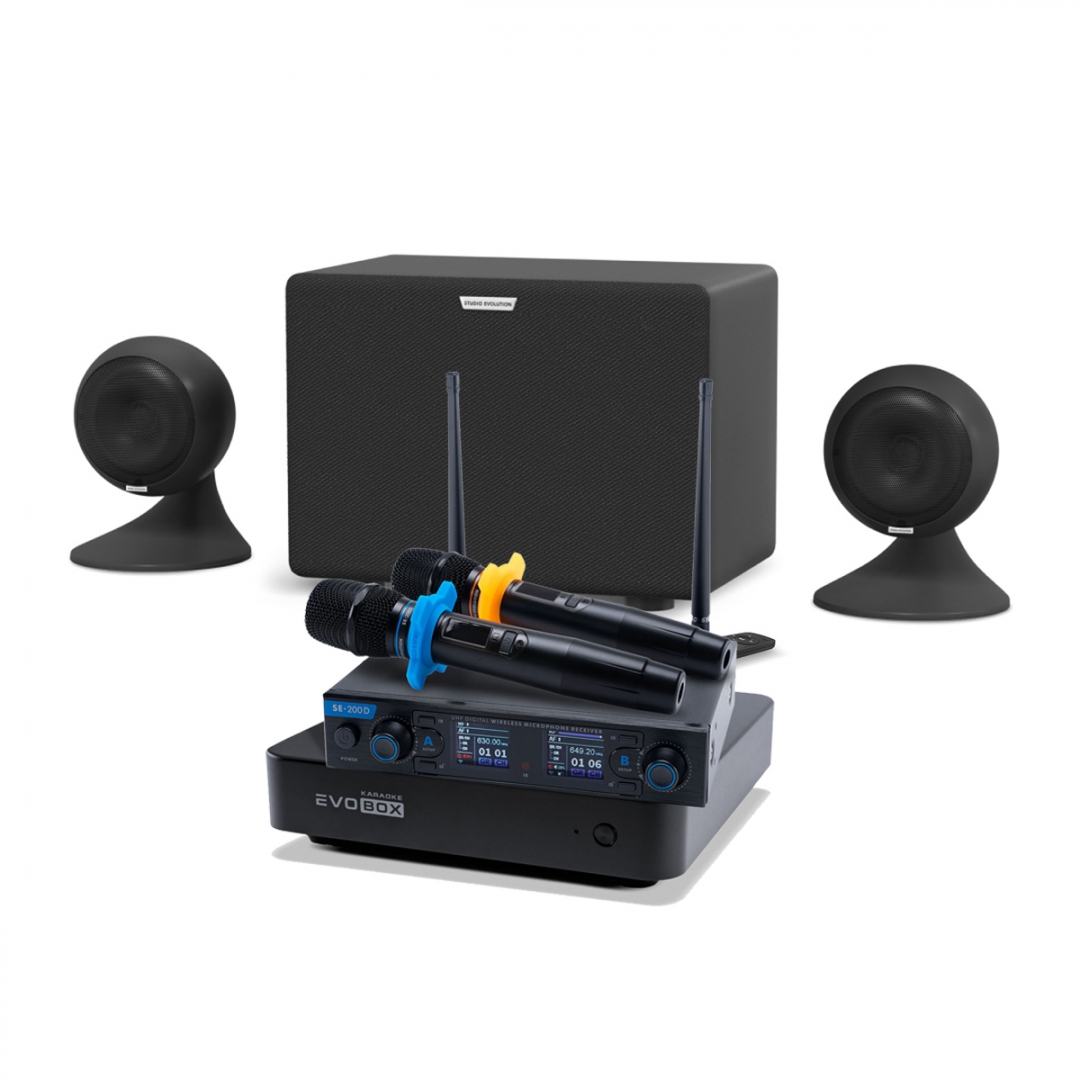 караоке-комплект EVOBOX + EvoSound Sphere 2.1 в Нижнекамске