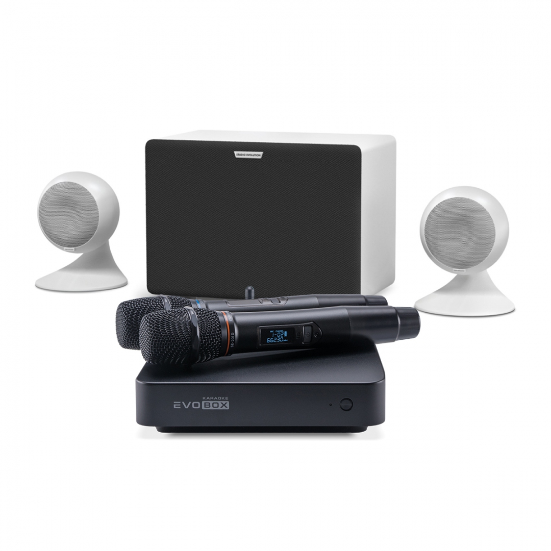 караоке-комплект EVOBOX Classic + EvoSound Sphere 2.1 в Нижнекамске