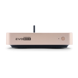 EVOBOX Classic караоке-система для дома в Нижнекамске