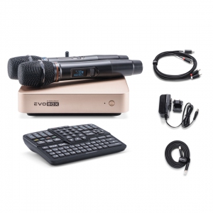 EVOBOX Plus караоке-система для дома в Нижнекамске