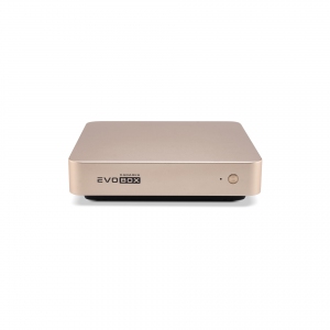 EVOBOX с микрофонами в Нижнекамске